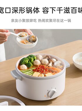 110V多功能电煮锅出国留