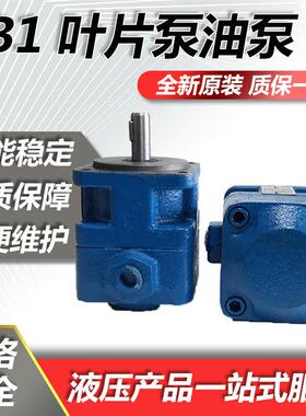 液压YB1叶片泵YB1-10 YB1-6 YB1-16 YB1-50 中高压定量油泵双联泵