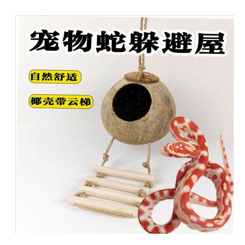 物蛇躲避b屋椰壳带梯吊篮吊床蛇缸生态爬宠饲养箱造景用品,,淘宝优惠券,粉丝福利购,淘宝优惠卷