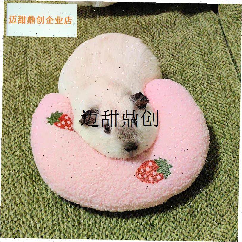 兰猪枕头专用解闷玩具f毛绒用品睡觉迷你保暖天竺鼠过冬豚鼠宠物,,淘宝优惠券,粉丝福利购,淘宝优惠卷