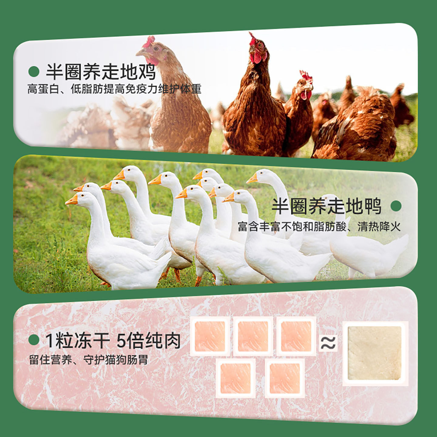 小鲜引原切冻干鸭肉粒猫零食鸭胸肉纯肉干营养高蛋白猫咪狗狗通用,淘宝优惠券,粉丝福利购,淘宝优惠卷