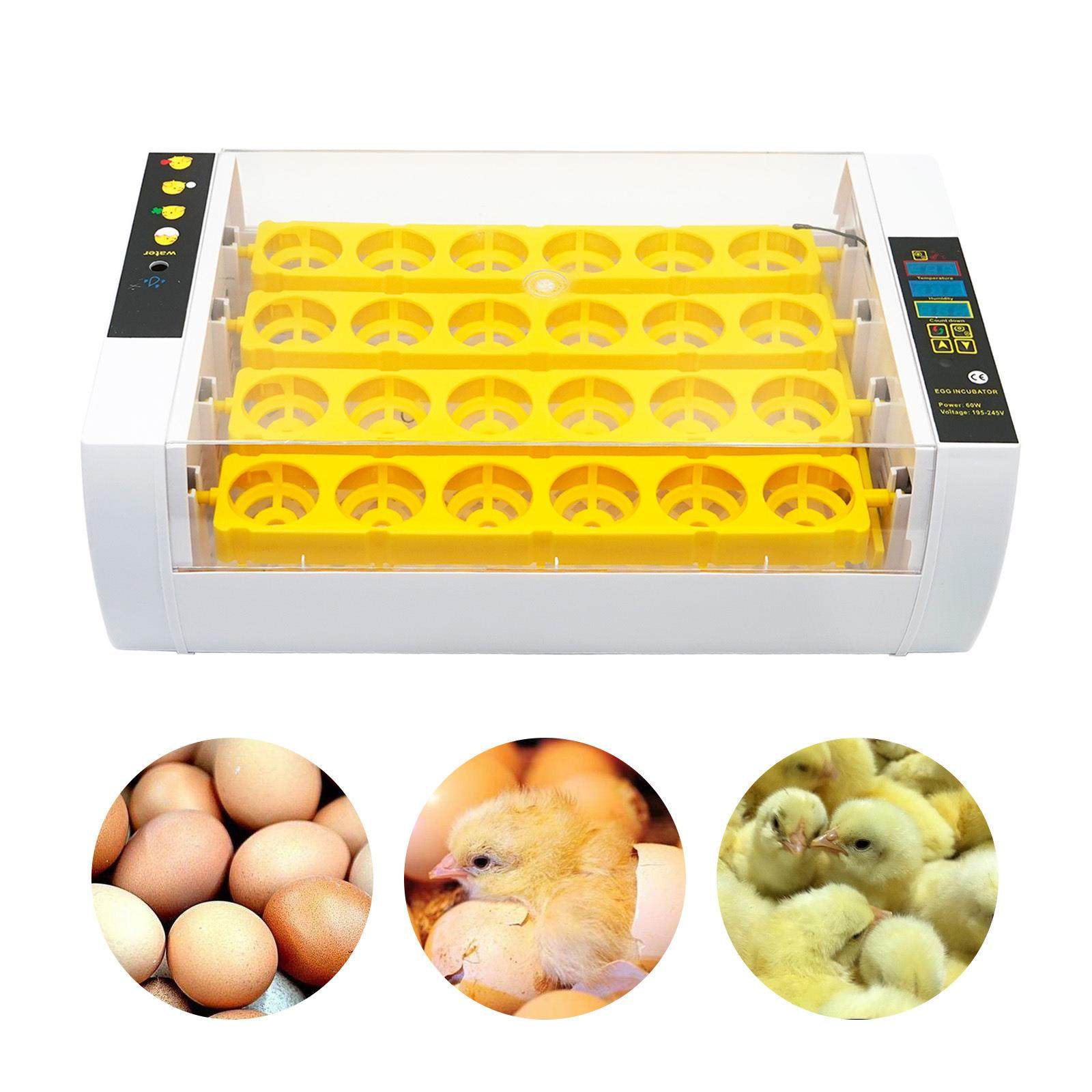 孵化器家用智能小鸡养殖孵化设备24枚鸡蛋家禽孵化机鸟类孵蛋器,淘宝优惠券,粉丝福利购,淘宝优惠卷