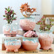 Succulent flower pot ceramic special clearance size old pile retro purple sand rough pottery plant home breathable flower pot
