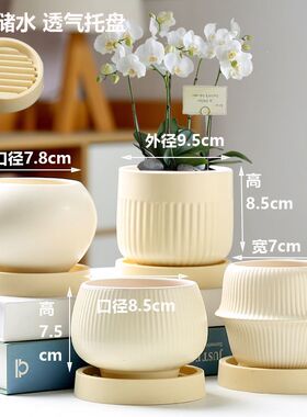 特价陶瓷花盆奶油风简约带托盘透气家用阳台绿植蝴蝶兰肉肉小盆栽