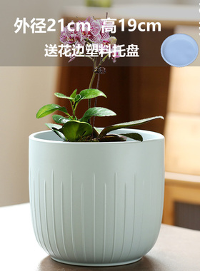 花盆陶瓷清仓灰色北欧风大口径简约超大创意绿植蝴蝶兰肉肉小花盆