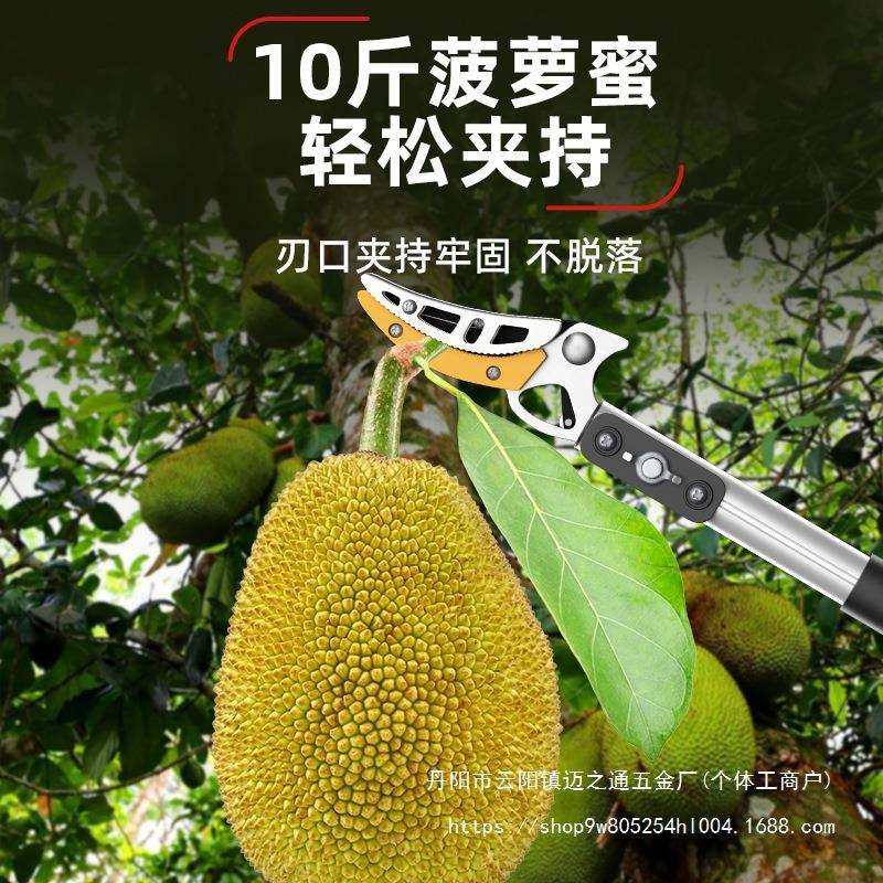摘水果采摘枇杷荔枝杨梅龙眼杏子摘果伸缩杆高空剪树枝高,淘宝优惠券,粉丝福利购,淘宝优惠卷