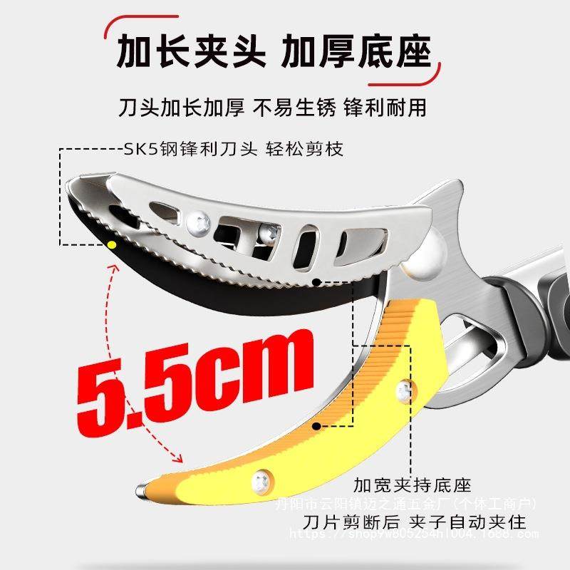 摘水果采摘枇杷荔枝杨梅龙眼杏子摘果伸缩杆高空剪树枝高,淘宝优惠券,粉丝福利购,淘宝优惠卷