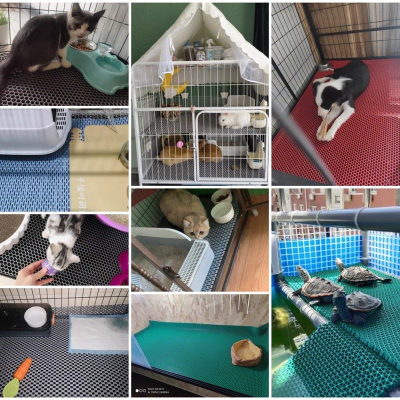 宠物垫材塑胶垫乌龟爬宠垫子狗垫子猫狗笼垫四季耐撕防滑通用垫,淘宝优惠券,粉丝福利购,淘宝优惠卷