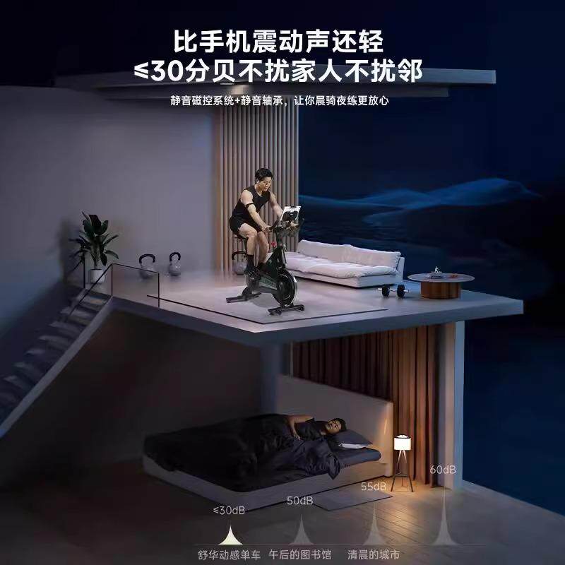 Shuhua Home Magnetic Silent Sweat Exercise Bike