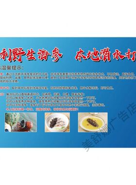 海参海报老少皆宜的温补佳品墙粘贴纸源自海洋传递新鲜KT板定制图