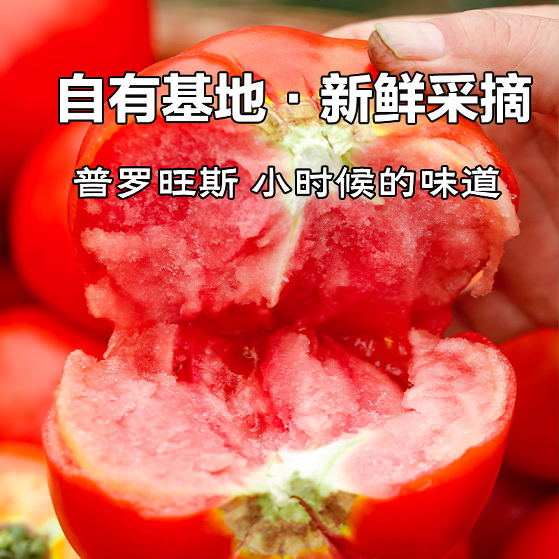 陕西泾阳普罗旺斯西红柿新鲜自然熟水果当季沙瓤西红柿番茄蔬菜