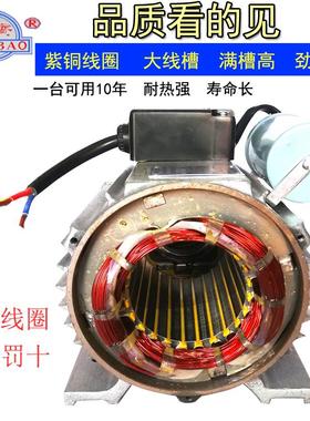 文宝电机大马力国标文登