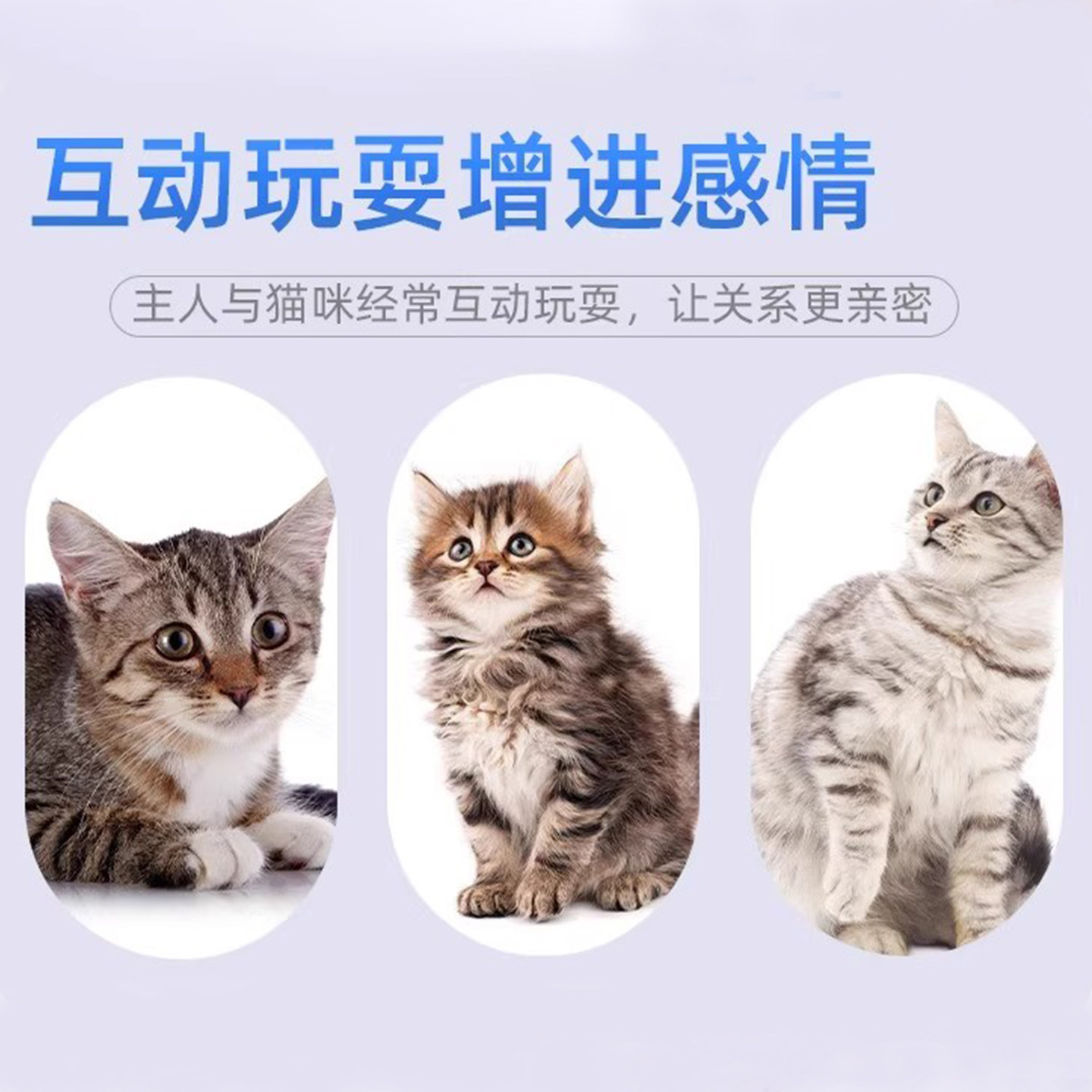 逗猫棒猫咪玩具自嗨互动解闷宠物小猫长杆替换头幼猫羽毛耐咬用品,淘宝优惠券,粉丝福利购,淘宝优惠卷