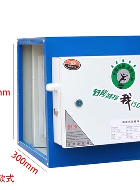 德国进口厂家4000风量油烟净化器环保专用饭店厨房商用小型餐饮油