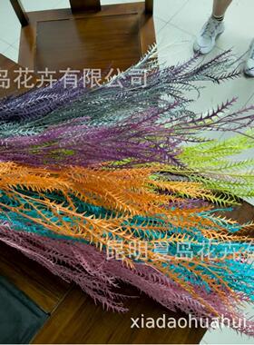 剑齿叶 锯齿叶 羊齿 马齿叶 叶材 花束花盒材料