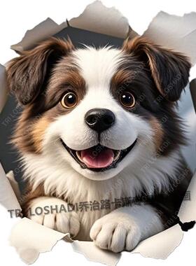 可爱边境牧羊犬贴纸爆款3d视觉狗狗自粘墙贴遮丑补洞防水贴车小狗