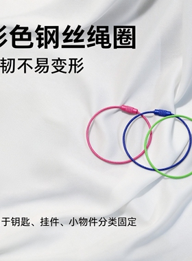 彩色不锈钢钢丝绳烤漆钥匙扣