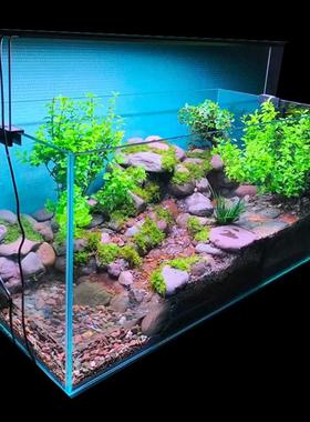 森林邦黄缘龟缸瀑布流水仓小溪流水河道造景全套生态景观成品定制