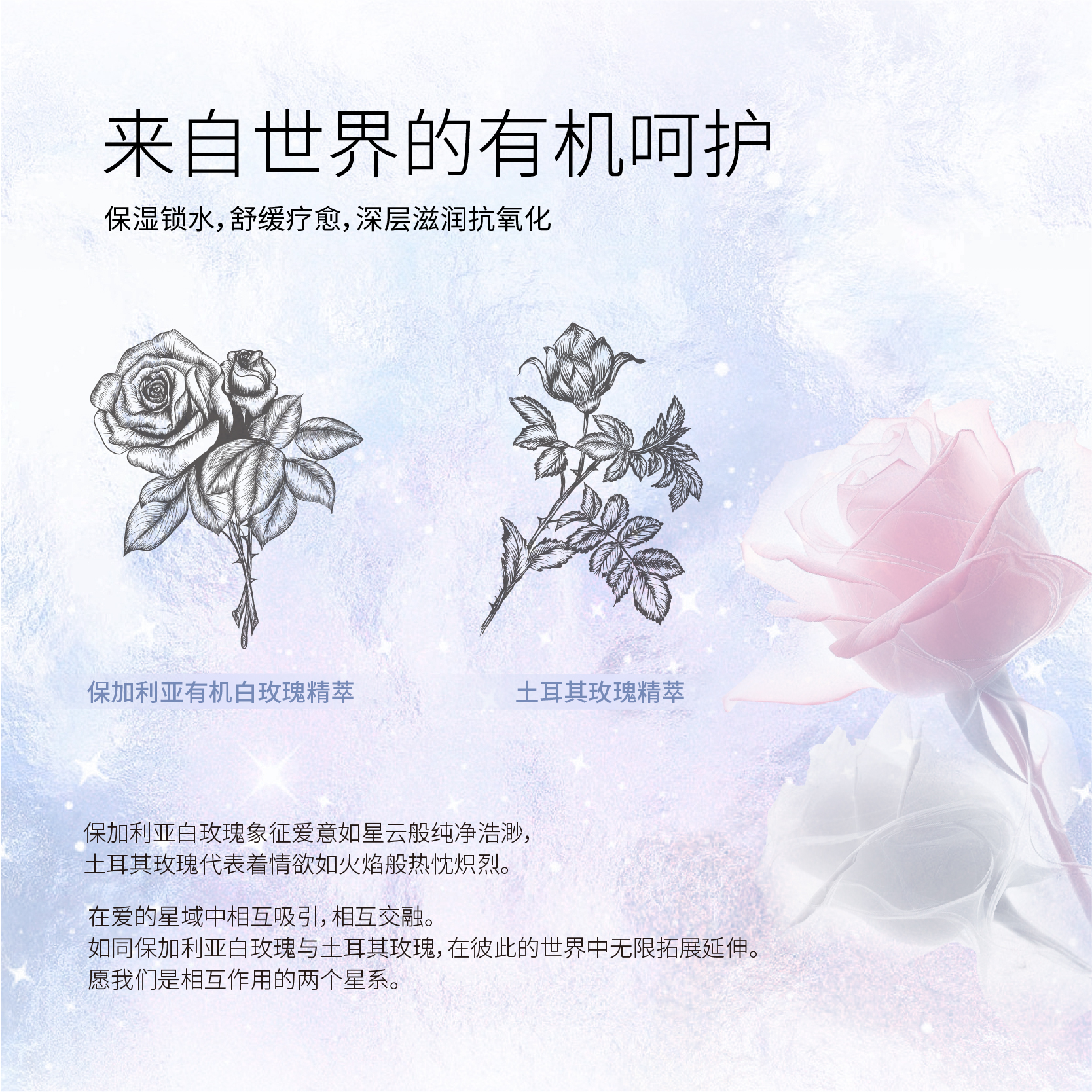 【氤氲玫瑰】瑰辰RosetteNebula手指套超润薄les玻尿酸避孕套 - 图1