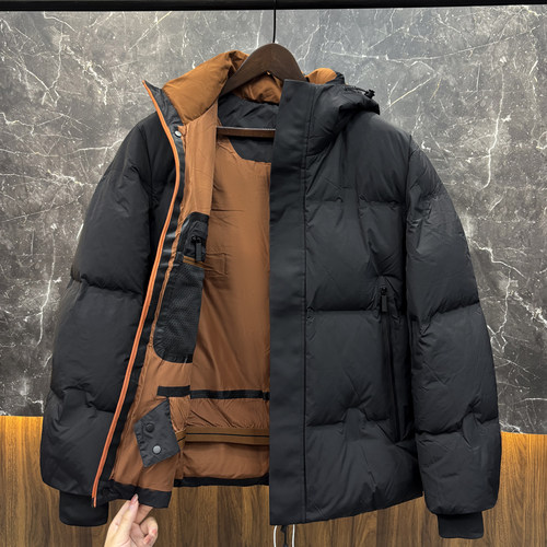 正品专柜撤柜95白鹅绒男士300克零下防寒高充绒量羽绒服男款加厚 - 图0