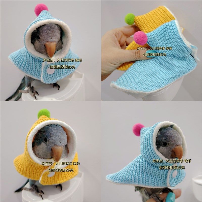 毛衣款鹦鹉披风斗篷鸟衣服鹦鹉披风玄凤加厚保暖外出服鹦鹉用品,淘宝优惠券,粉丝福利购,淘宝优惠卷