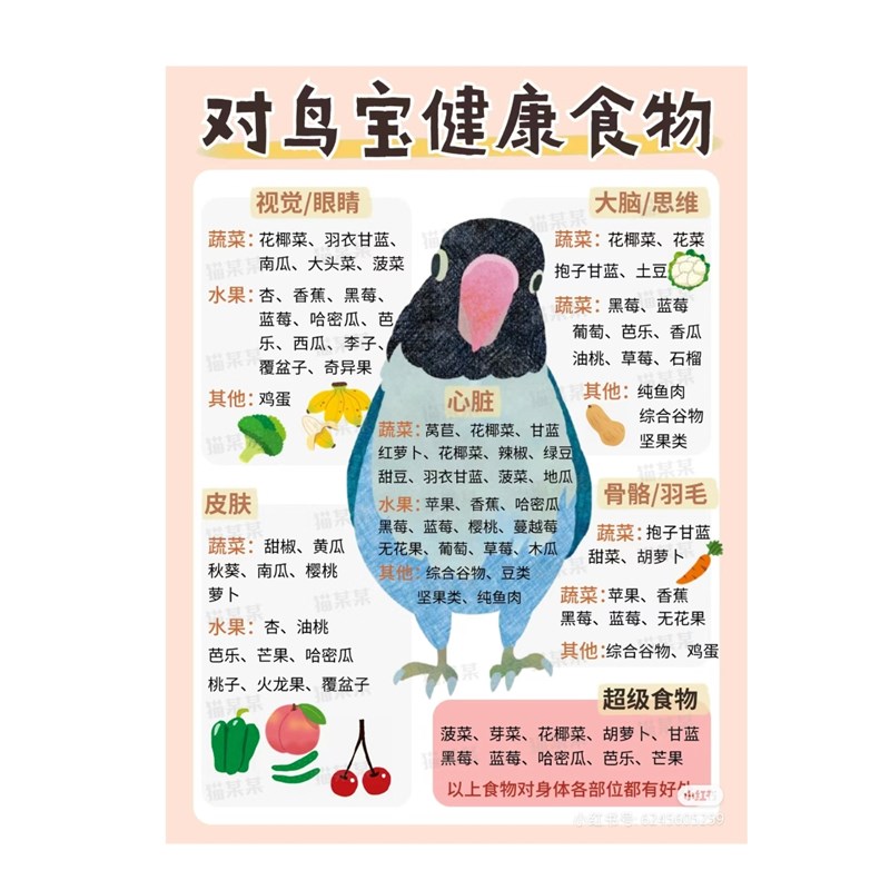 鹦鹉水果叉鸟用不锈钢蔬菜玉米挂钩喂食器玩具鸟笼配件用品 - 图1