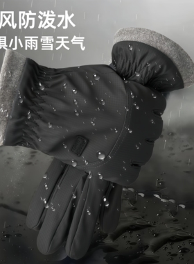 德国冬季骑行手套男女加绒摩托车保暖神器触屏防寒防风御寒棉手套