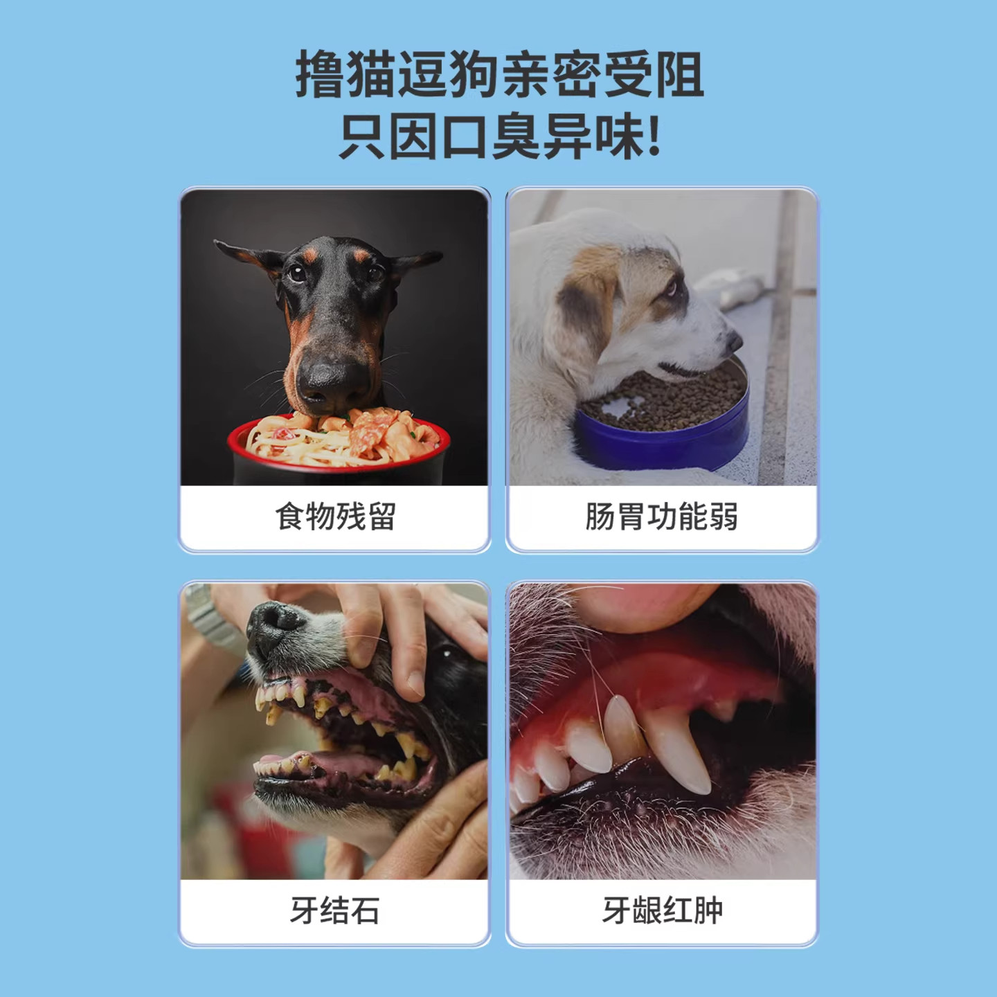 宠物洁齿水狗狗猫咪洁牙可食用去除口臭益生菌漱口水口腔结石清洁,淘宝优惠券,粉丝福利购,淘宝优惠卷