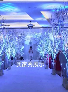 白树枝白树干装饰造型树婚庆影楼装饰树杈枯枝喷白树摆放圣诞树