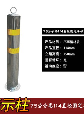 路障不锈钢柱分道隔离桩防撞护栏柱铁立柱警示路桩停车柱活动地