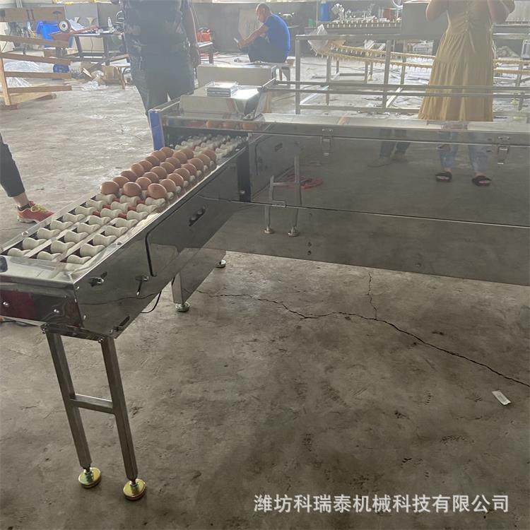 商用鸡蛋按重大小分级机 鸭蛋分选机 蛋品分拣机 种蛋挑选机,淘宝优惠券,粉丝福利购,淘宝优惠卷