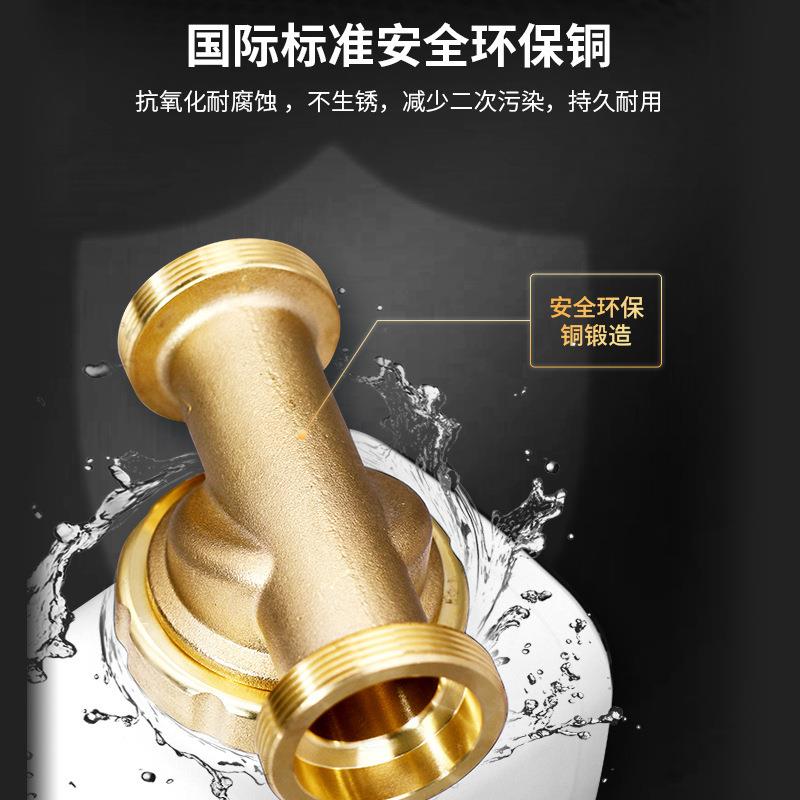 前置过滤器反冲洗大流量家用全屋自来水纯铜过滤器中央管道净水器 - 图1