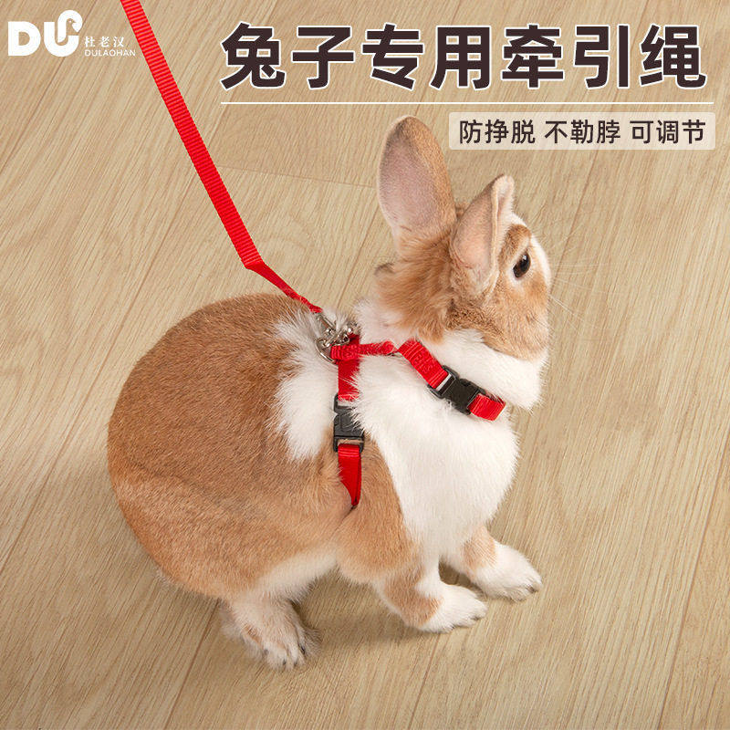兔子牵引绳 龙猫豚鼠荷兰猪外出宠物胸背小型宠物用  遛兔绳,淘宝优惠券,粉丝福利购,淘宝优惠卷
