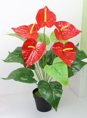 仿真18头5花大红掌假花束客厅室内装饰盆栽塑料绿植假花景摆