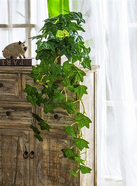 新品高品质e仿真绿植植物垂吊仿生假花假藤蔓藤条爬藤室内造景装