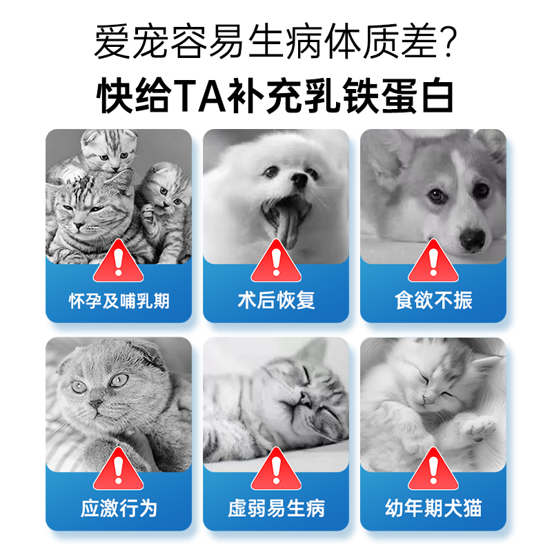 强生宠儿猫咪乳铁蛋白胶囊猫用0乳糖宠物猫鼻支感冒有助提高免疫 - 图1