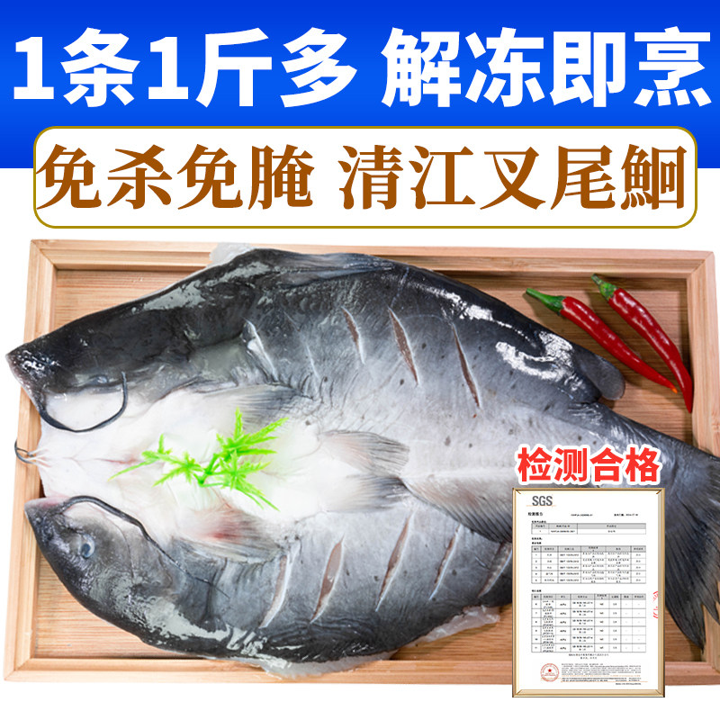 开背清江鱼叉尾鮰鱼商用冷冻烤鱼半成品青江鱼腌制整条免处理大号,淘宝优惠券,粉丝福利购,淘宝优惠卷
