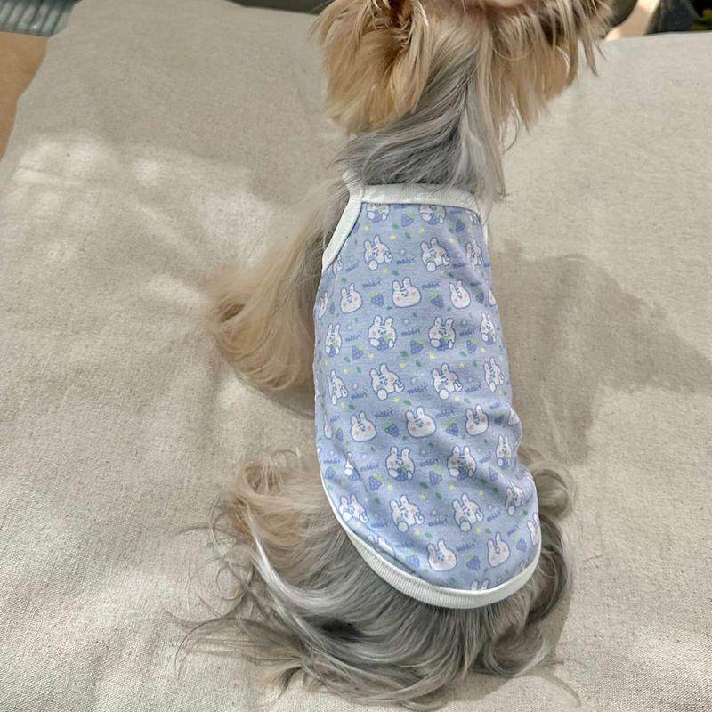 小甜粥宠物服纯棉小兔吊带薄款弹力透气衣服约克夏马尔济斯猫咪,淘宝优惠券,粉丝福利购,淘宝优惠卷