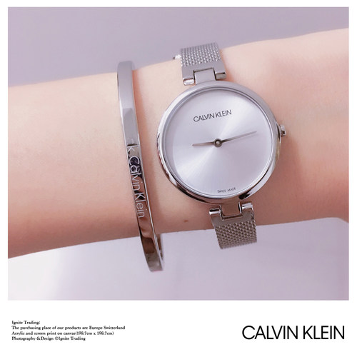 WATCH - 2020 CALVIN KLEIN AUTHENTIC K8G23626 - CK女士腕表 - 图1