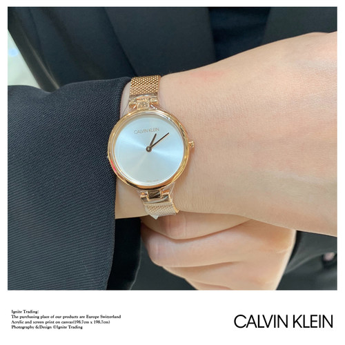 WATCH - 2020 CALVIN KLEIN AUTHENTIC K8G23626 - CK女士腕表 - 图0