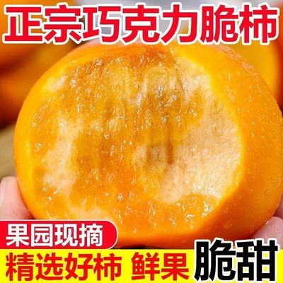 三秦美农巧克力脆柿子树上新鲜货