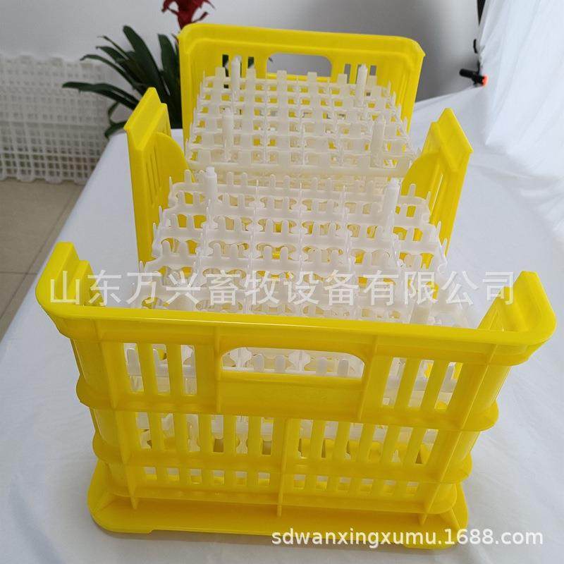 种鸭用蛋筐 出口品质新式蛋筐 多功能塑料筐 厂家供应,淘宝优惠券,粉丝福利购,淘宝优惠卷