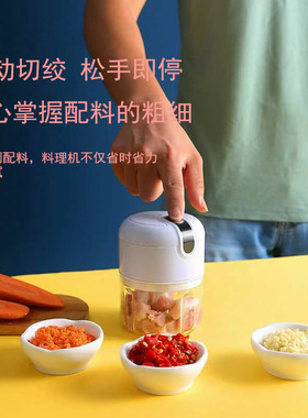 热销 电动捣蒜器打蒜器蒜蓉机 蒜泥器家用小型婴儿辅食料理机