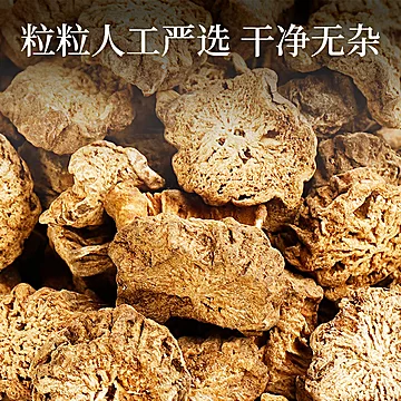 【罐装100克】国药药材牛蒡茶[10元优惠券]-寻折猪