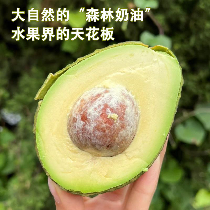 图 2