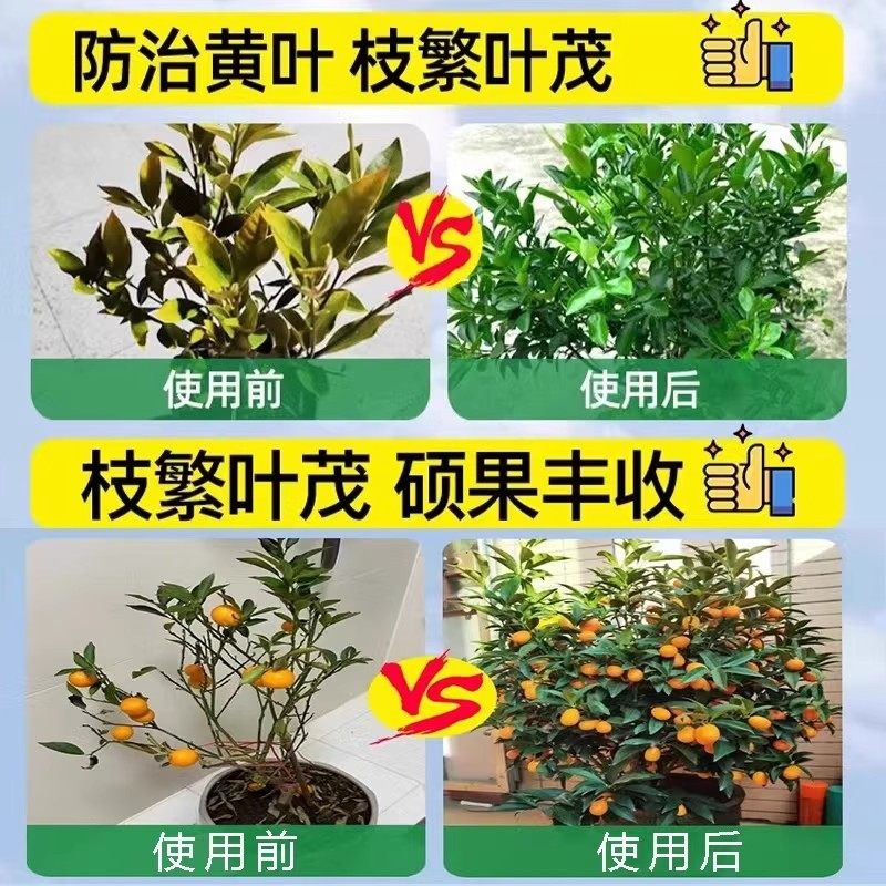 金桔树营养液专用肥料叶子发黄落叶枯叶掉果促生根开花盆栽通用型,淘宝优惠券,粉丝福利购,淘宝优惠卷