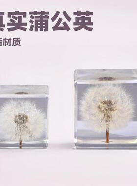 蒲公英方块树脂水晶创意小礼品