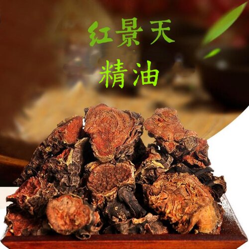 红景天精油高能量高原植物外用提高胶原再生能力合德医馆精制推荐 - 图0