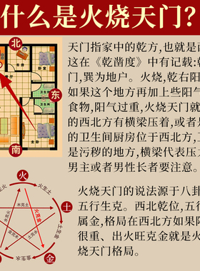 避火龙摆件解厨房西北乾位火烧天门三辟火龙瓶辰龙纯铜龙型工艺品