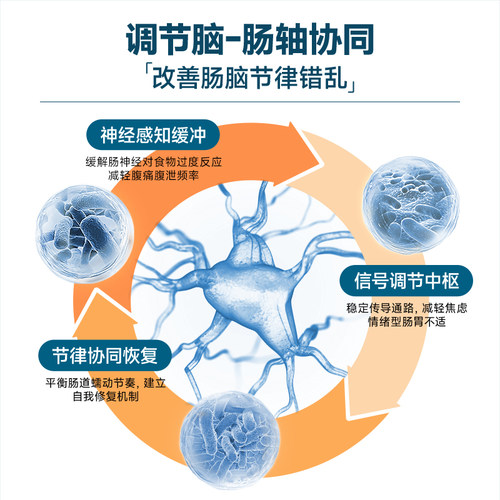 Biokplus进口肠易激综合征IBS益生菌大人成人肠道肠胃紊乱痛调理 - 图2